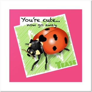 Cute Ladybug Posters and Art